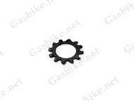 Spring Gasket