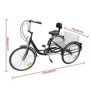 Ridgayard 6 Speed 24 Inch 3 Wheel Adult Tricycle Cruise Cargo Bike with Folding Basket